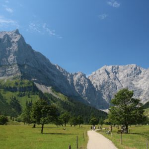 large-maple-back-1100121_1280