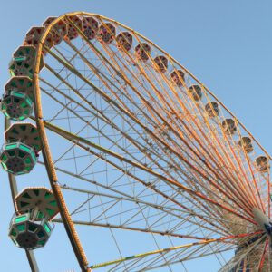 misterfarmer-hype-969864