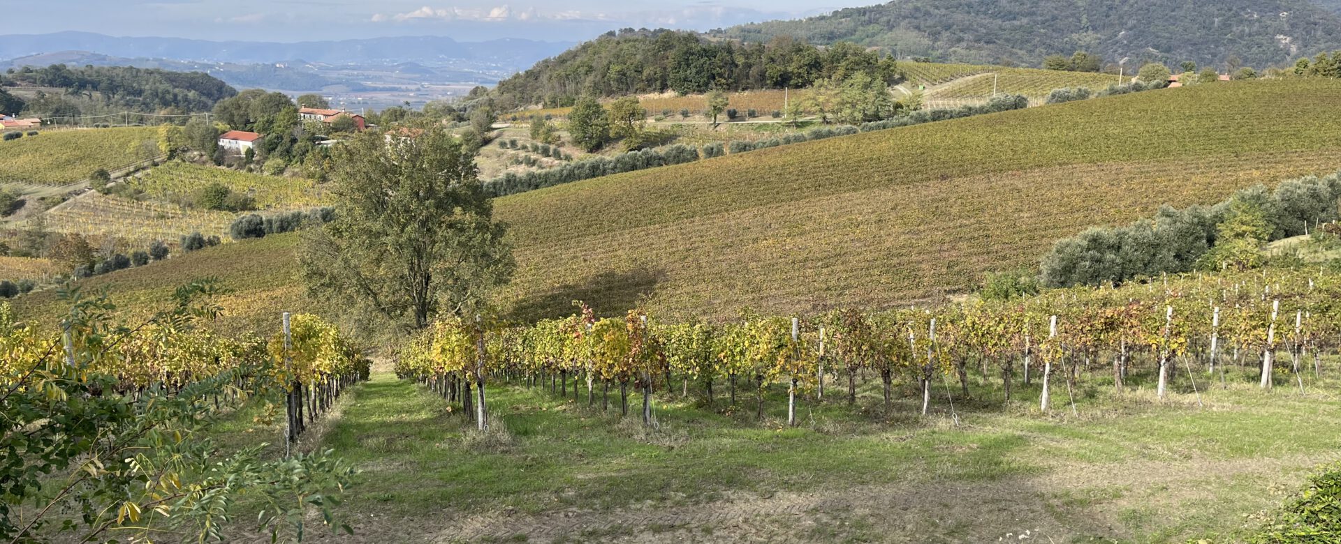 Abano Terme und Umgebung